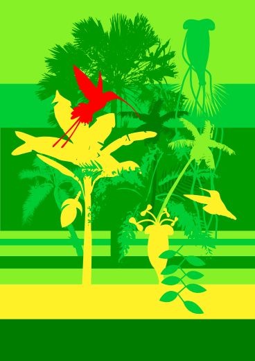 Tropics 5 Colibri: Vektor Grafik